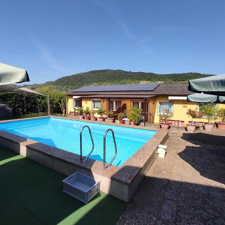 Apartamento Moselferienweingut Schaefer Wintrich Exterior foto