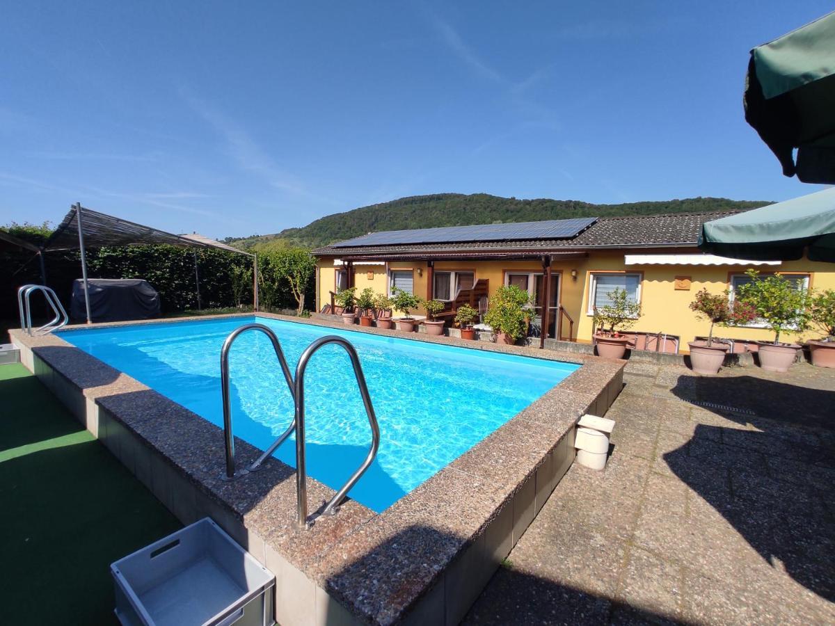 Apartamento Moselferienweingut Schaefer Wintrich Exterior foto