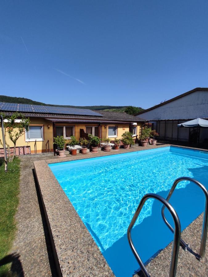 Apartamento Moselferienweingut Schaefer Wintrich Exterior foto