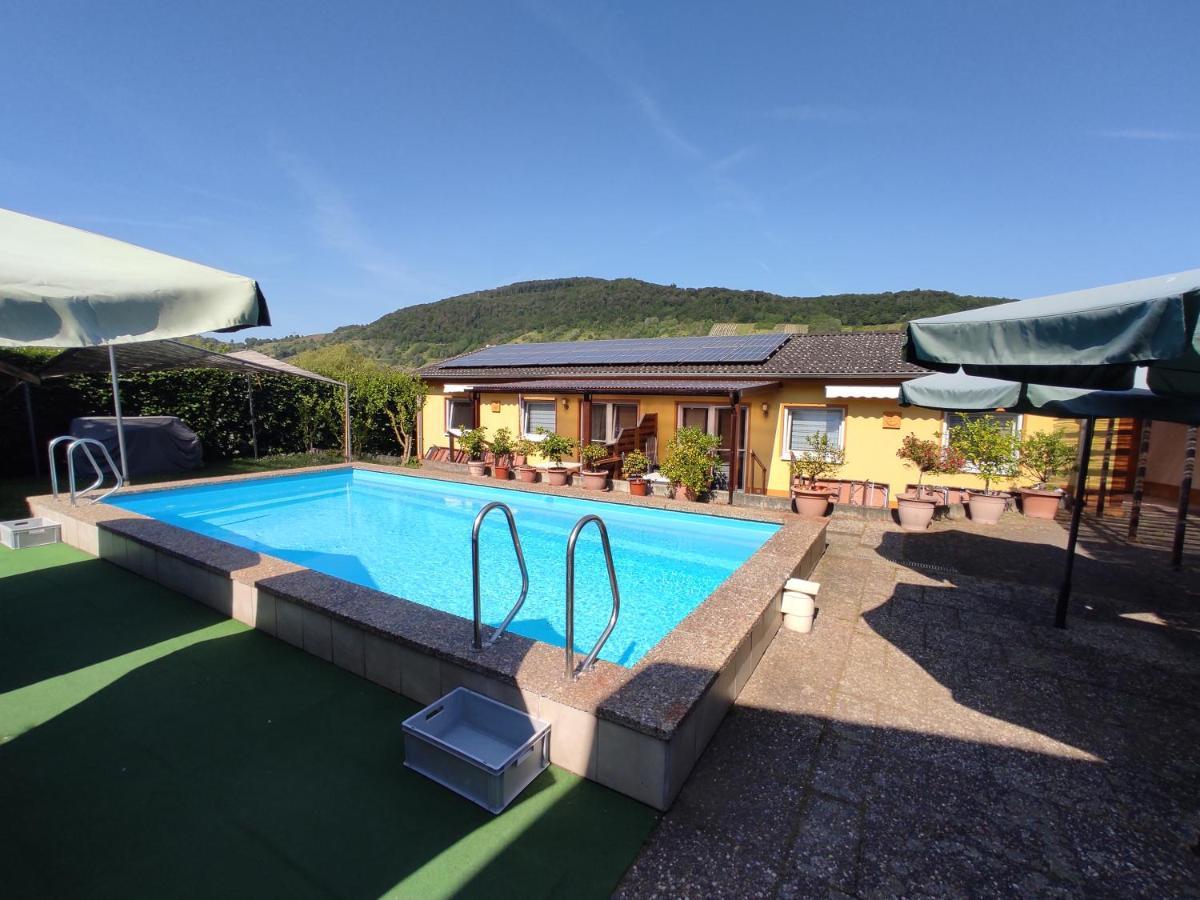 Apartamento Moselferienweingut Schaefer Wintrich Exterior foto