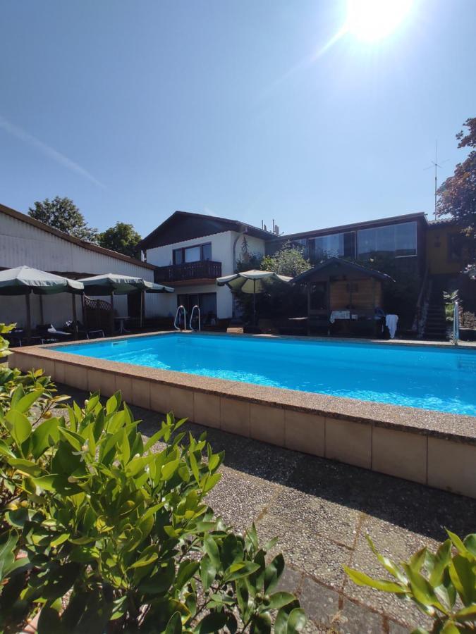 Apartamento Moselferienweingut Schaefer Wintrich Exterior foto