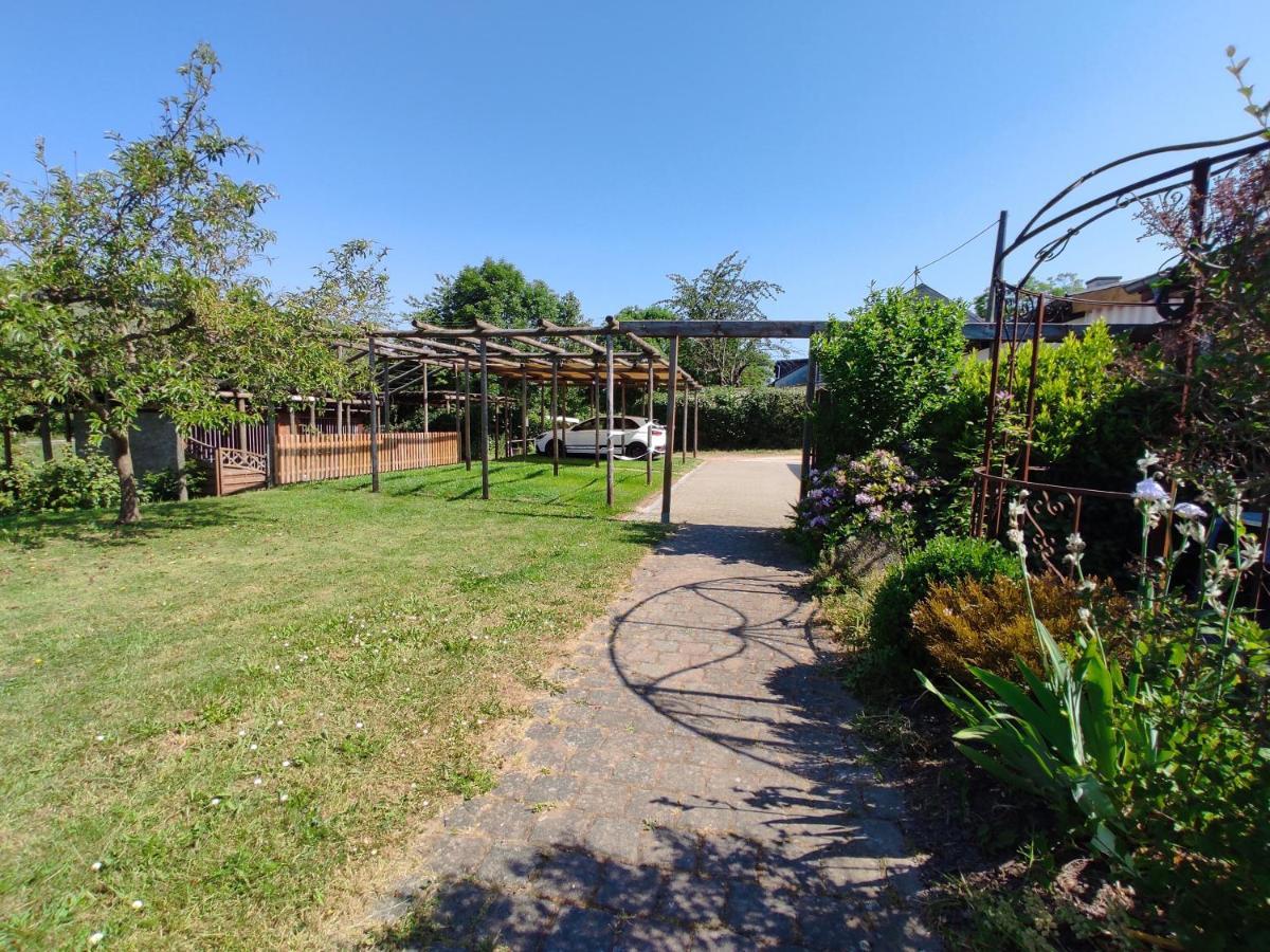 Apartamento Moselferienweingut Schaefer Wintrich Exterior foto